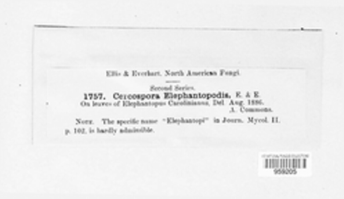 Cercospora elephantopodis image